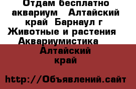 Отдам бесплатно аквариум - Алтайский край, Барнаул г. Животные и растения » Аквариумистика   . Алтайский край